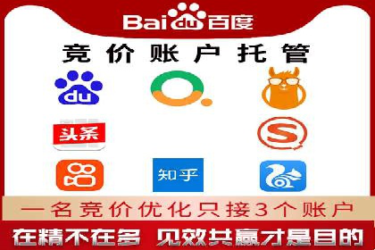 SEM广告投放的竞价策略与效果评估案例